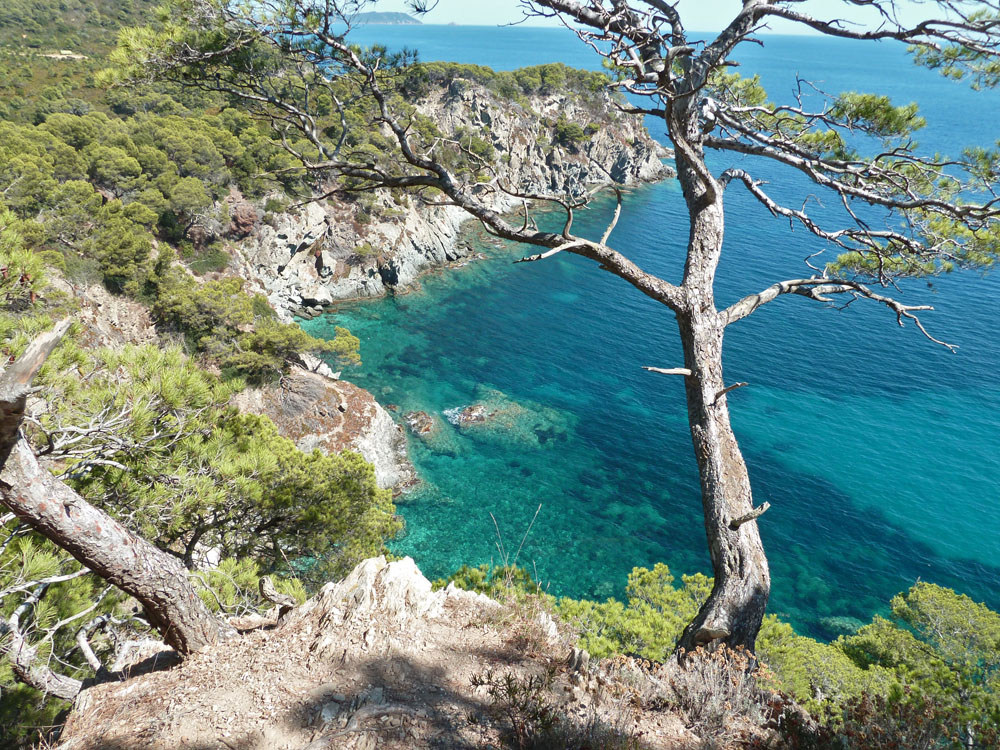 Porquerolles falaises