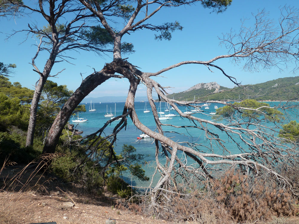 Porquerolles plage2